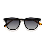 Black Tortoise